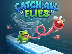                                                                     Catch All Flies ﺔﺒﻌﻟ