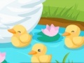                                                                     Duck care ﺔﺒﻌﻟ
