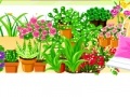                                                                     Flowers Garden ﺔﺒﻌﻟ