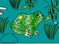                                                                     Frog Coloring ﺔﺒﻌﻟ
