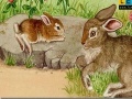                                                                     Rabbits at the farm puzzle  ﺔﺒﻌﻟ