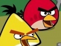                                                                     Memory - Angry Birds ﺔﺒﻌﻟ